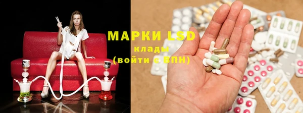 индика Армянск