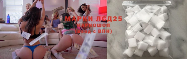 индика Армянск