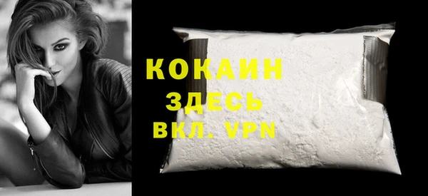 индика Армянск