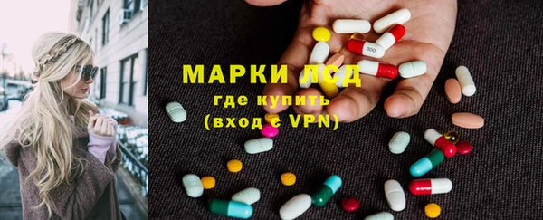 индика Армянск