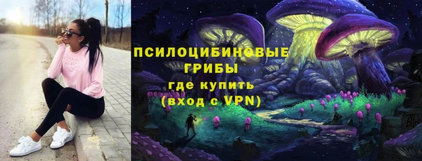 индика Армянск