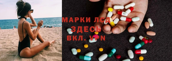 индика Армянск