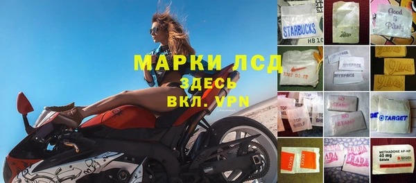 индика Армянск