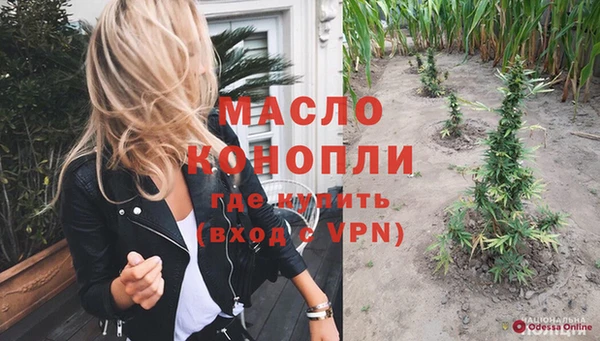 индика Армянск